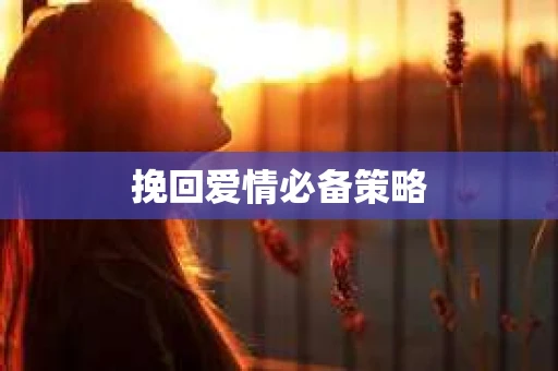挽回爱情必备策略