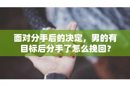 面对分手后的决定，男的有目标后分手了怎么挽回？