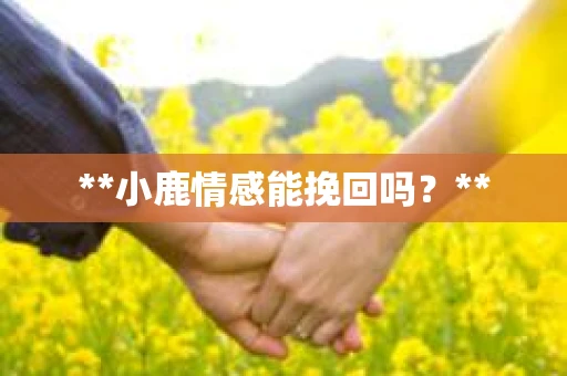 **小鹿情感能挽回吗？**