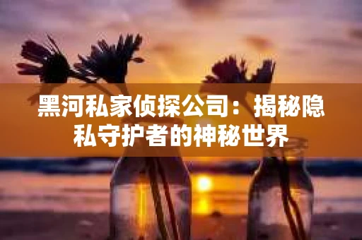 黑河私家侦探公司：揭秘隐私守护者的神秘世界
