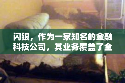 闪银，作为一家知名的金融科技公司，其业务覆盖了全国多个城市。那么，闪银在湖南株洲是否有催收业务呢？今天，我们就来聊聊这个话题。