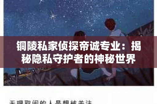 铜陵私家侦探帝诚专业：揭秘隐私守护者的神秘世界