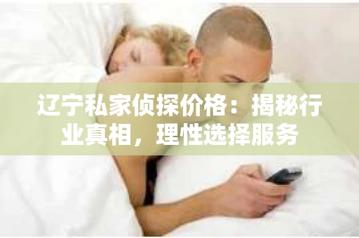 辽宁私家侦探价格：揭秘行业真相，理性选择服务