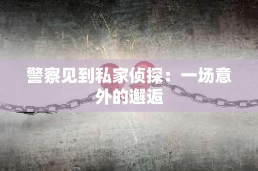 警察见到私家侦探：一场意外的邂逅