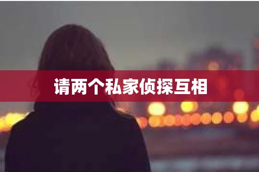 请两个私家侦探互相