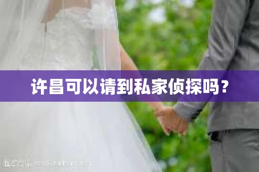 许昌可以请到私家侦探吗？