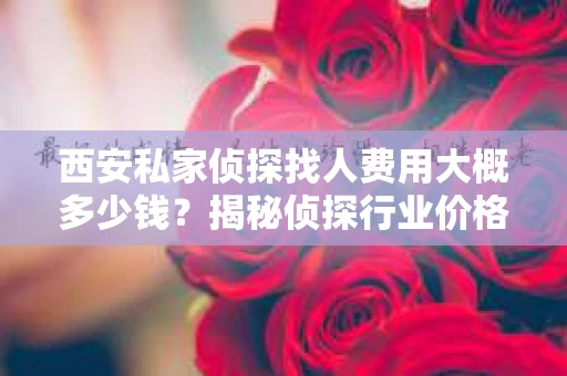 西安私家侦探找人费用大概多少钱？揭秘侦探行业价格之谜