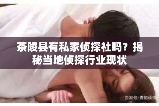 茶陵县有私家侦探社吗？揭秘当地侦探行业现状