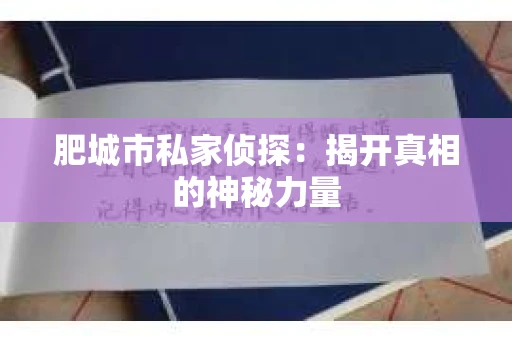 肥城市私家侦探：揭开真相的神秘力量