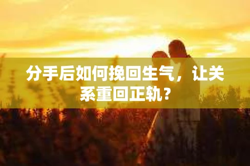 分手后如何挽回生气，让关系重回正轨？