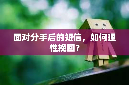 面对分手后的短信，如何理性挽回？